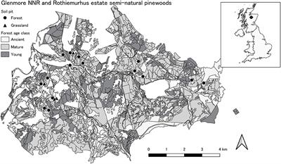 A New Approach Using Modeling to Interpret Measured Changes in Soil Organic Carbon in Forests; The Case of a 200 Year Pine Chronosequence on a Podzolic Soil in Scotland